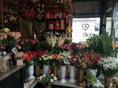 Kwiaciarnia Pachnący Groszek